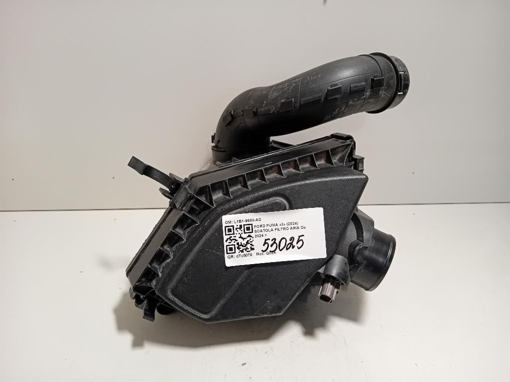 Scatola Filtro ARIA L1B1-9600-AD Ford PUMA II 2024