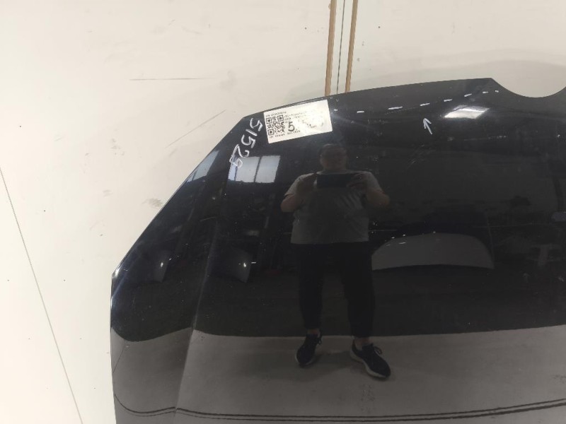 Cofano ANT 5K0823031G Volkswagen GOLF VI 2009