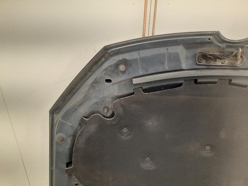 Cofano ANT 5K0823031F Volkswagen GOLF VI 2009