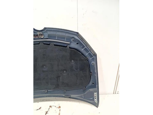 Cofano ANT COFANO ANT Volkswagen GOLF VI 2009