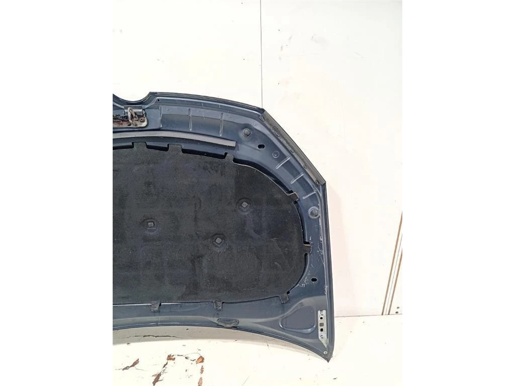 Cofano ANT COFANO ANT Volkswagen GOLF VI 2009