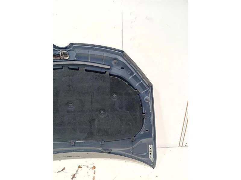 Cofano ANT COFANO ANT Volkswagen GOLF VI 2009