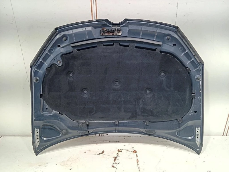 Cofano ANT COFANO ANT Volkswagen GOLF VI 2009