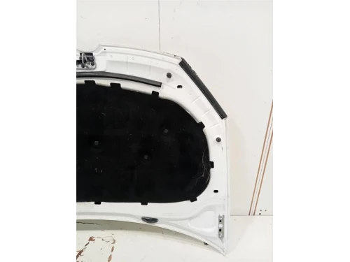 Cofano ANT 5K0823031F Volkswagen GOLF VI 2009