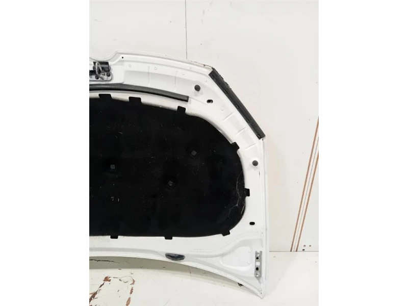 Cofano ANT 5K0823031F Volkswagen GOLF VI 2009