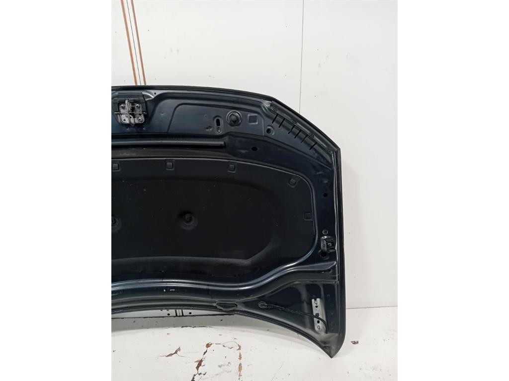 Cofano ANT 5NA823031L Volkswagen Tiguan II 2020