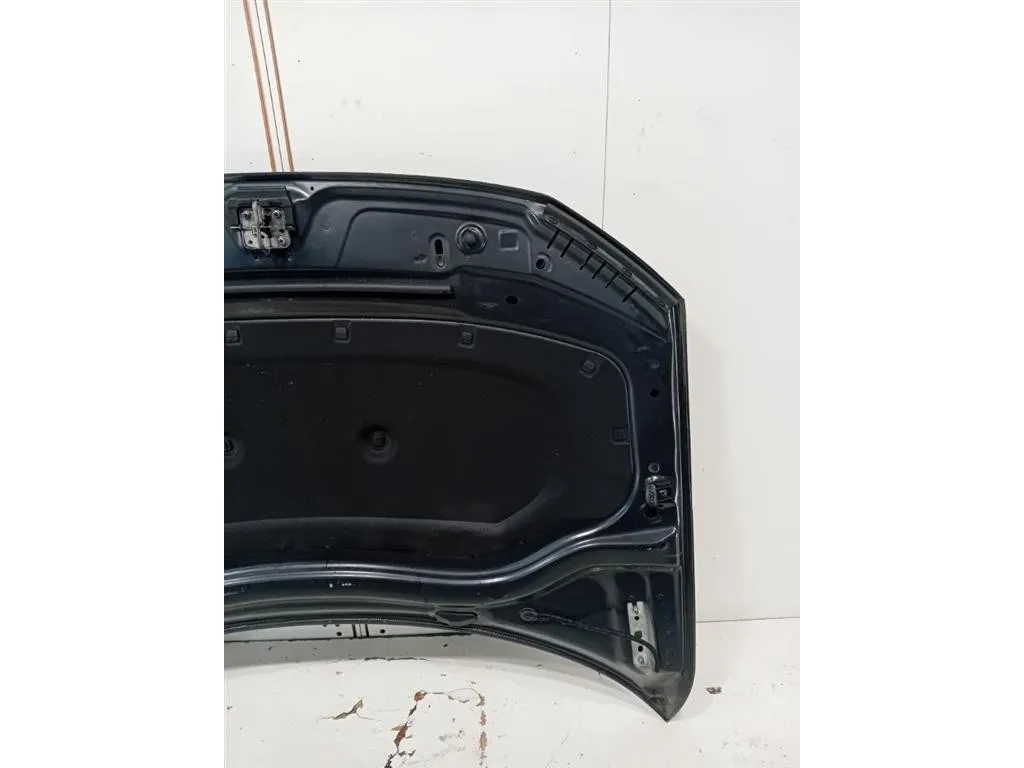 Cofano ANT 5NA823031L Volkswagen Tiguan II 2020