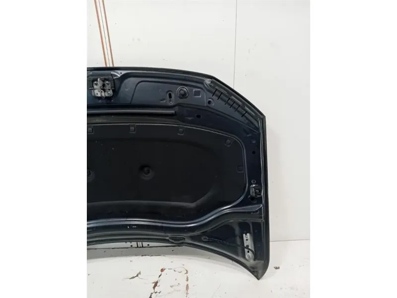 Cofano ANT 5NA823031L Volkswagen Tiguan II 2020