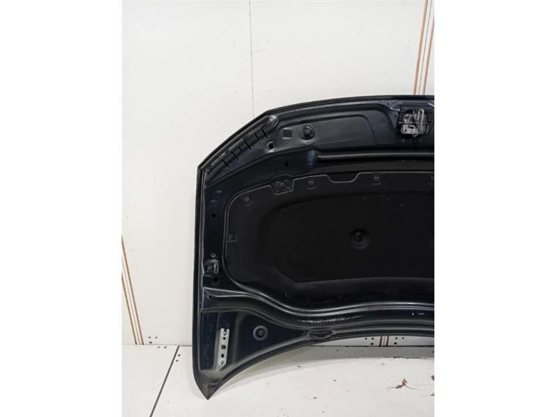 Cofano ANT 5NA823031L Volkswagen Tiguan II 2020