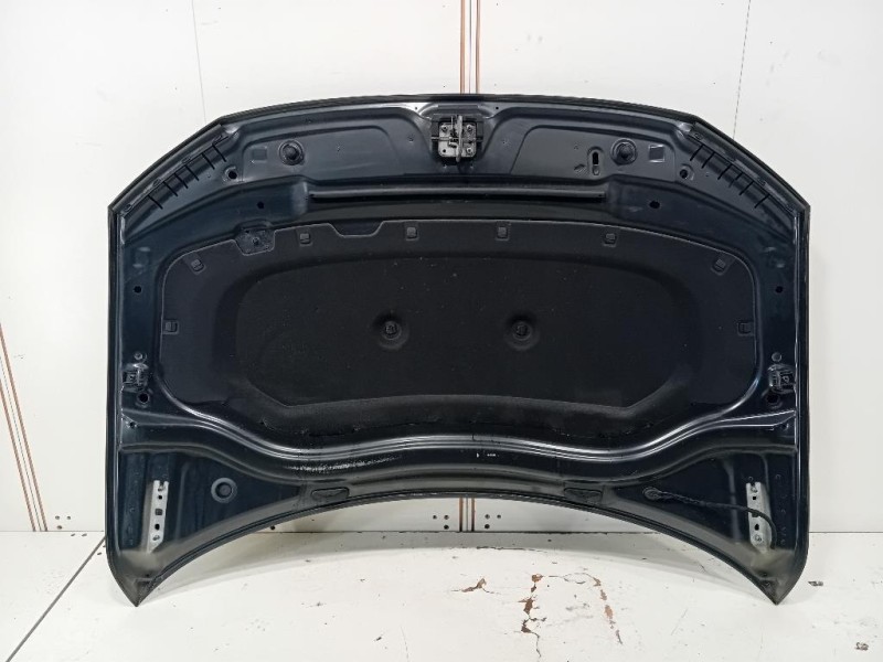 Cofano ANT 5NA823031L Volkswagen Tiguan II 2020