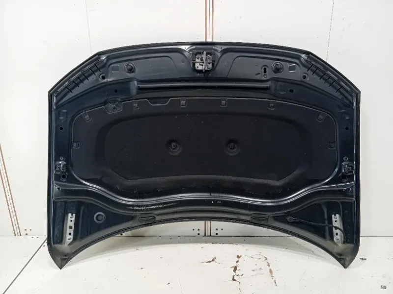 Cofano ANT 5NA823031L Volkswagen Tiguan II 2020