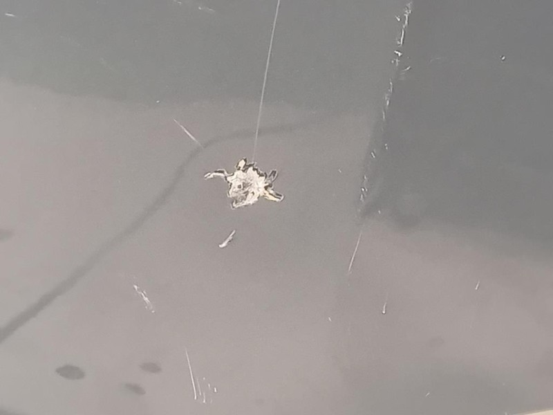 Cofano ANT 5NA823031L Volkswagen Tiguan II 2020