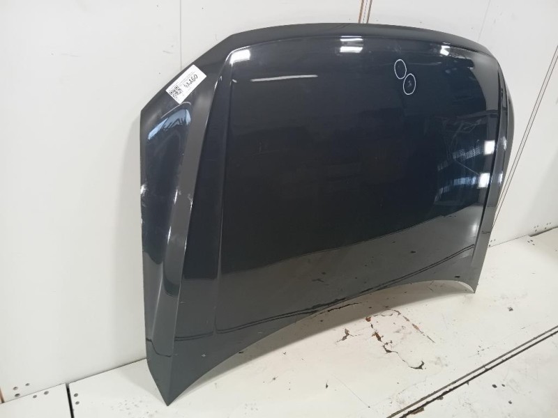 Cofano ANT 5NA823031L Volkswagen Tiguan II 2020