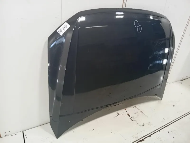 Cofano ANT 5NA823031L Volkswagen Tiguan II 2020