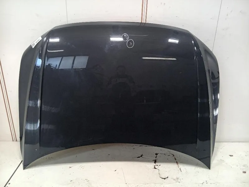 Cofano ANT 5NA823031L Volkswagen Tiguan II 2020