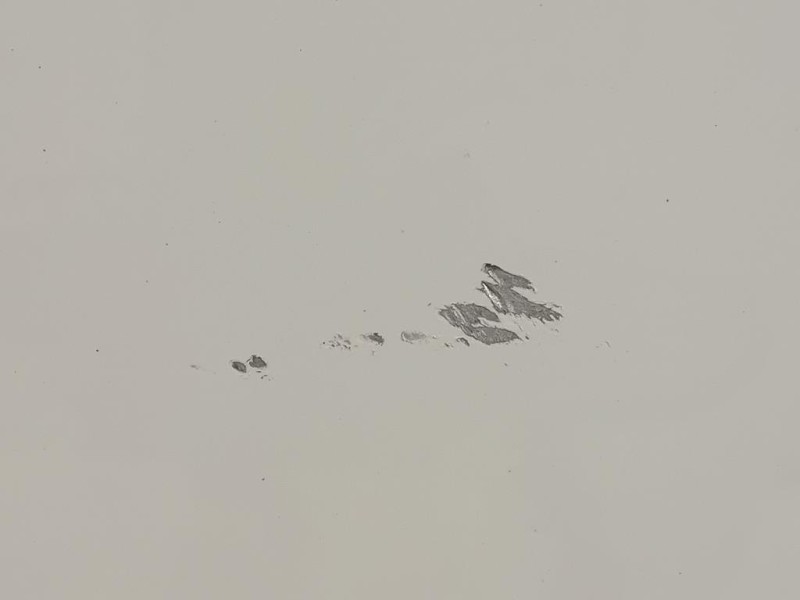 Cofano ANT 31371415 Volvo V50 2004