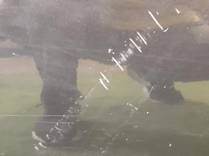 Porta POST SX 41009628751 Bmw Serie 3 E91 Touring 2005