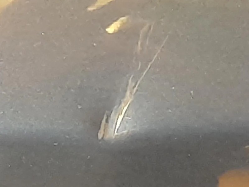 Porta POST SX Opel Meriva B 2010