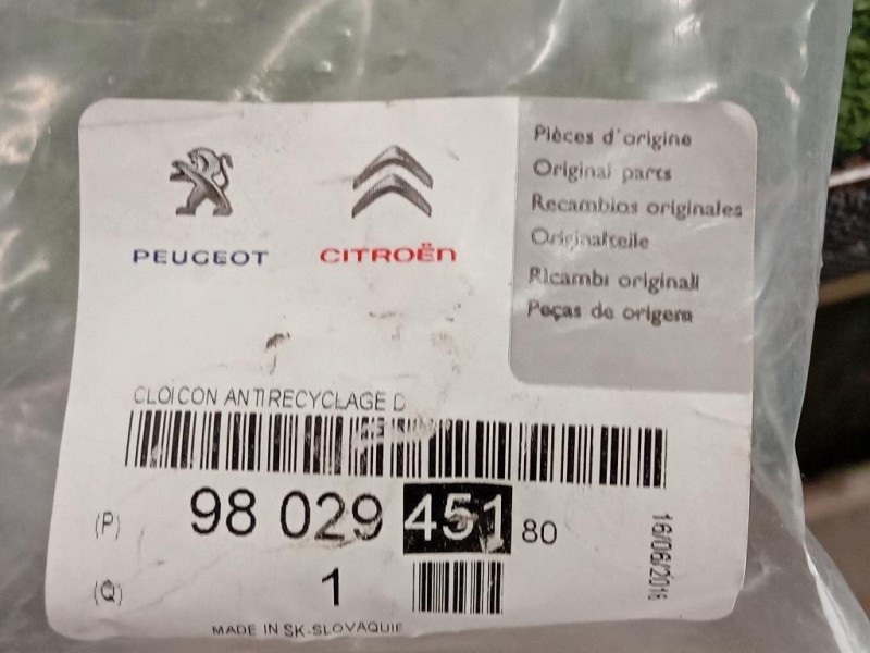 Convogliatore ARIA Radiatore INF 9802945180 Citroen C3 Picasso 2013