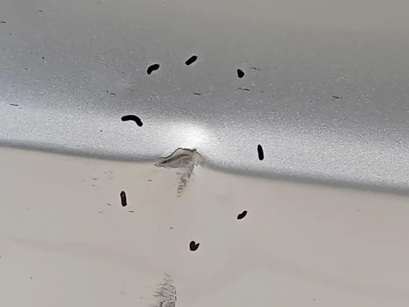 Porta POST SX 3T9833055 Skoda Superb 3T5 SW 2013