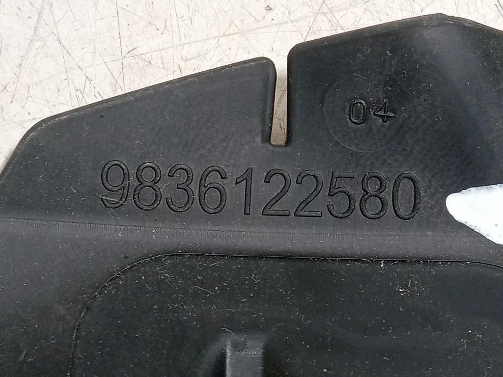 Convogliatore ARIA Radiatore INF ANT SX 9836122580 Citroen C3 III 2016