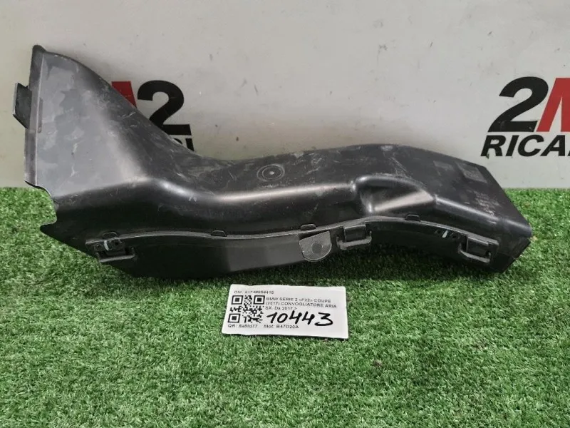 Convogliatore ARIA SX 51748054415 SX Bmw Serie 2 F22 Coupe 2017
