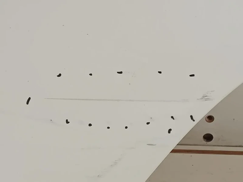 Porta POST SX 670040D210 Toyota Yaris IV 2012