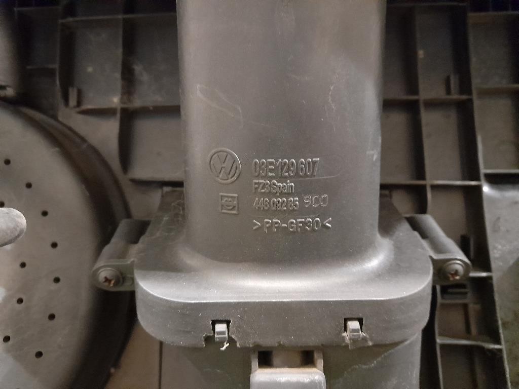 Coperchio Insonorizzante Motore 03E129607 Volkswagen POLO IV 2002