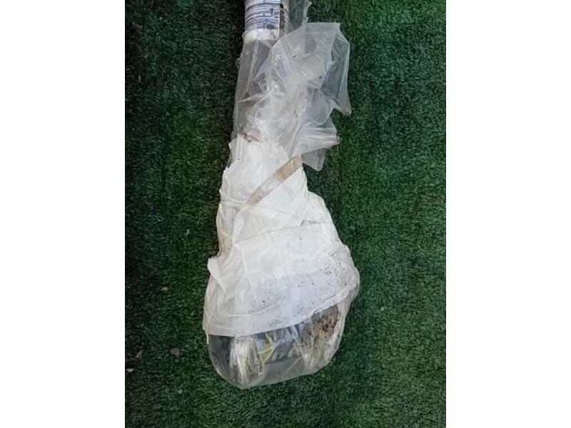 Semiasse ANT DX 51787862 Fiat 500 II 2008