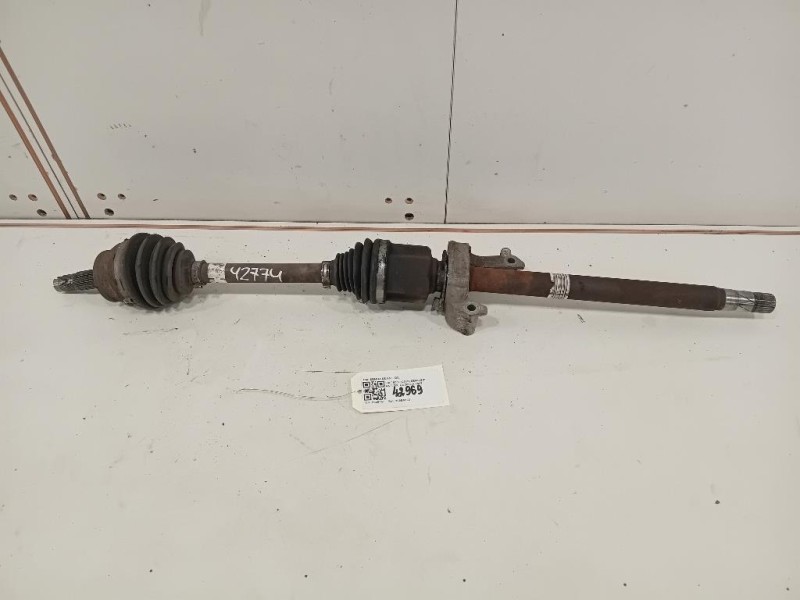 Copertura Interna Griglia Radiatore SUP ANT J7BB 16E146 CC Ford KA+ 2016