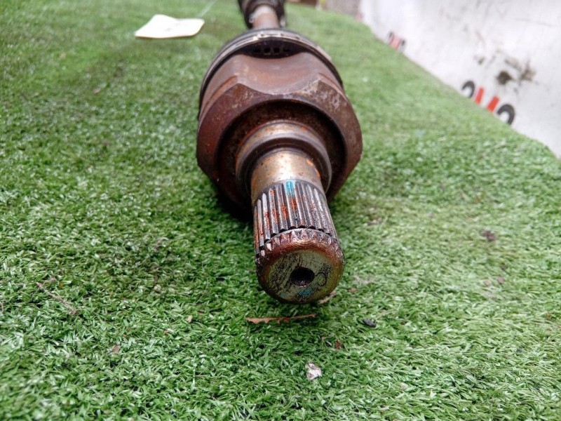 Copertura Interna Griglia Radiatore ANT 8K0 807 081 D Audi A4 8K5 Avant 2012