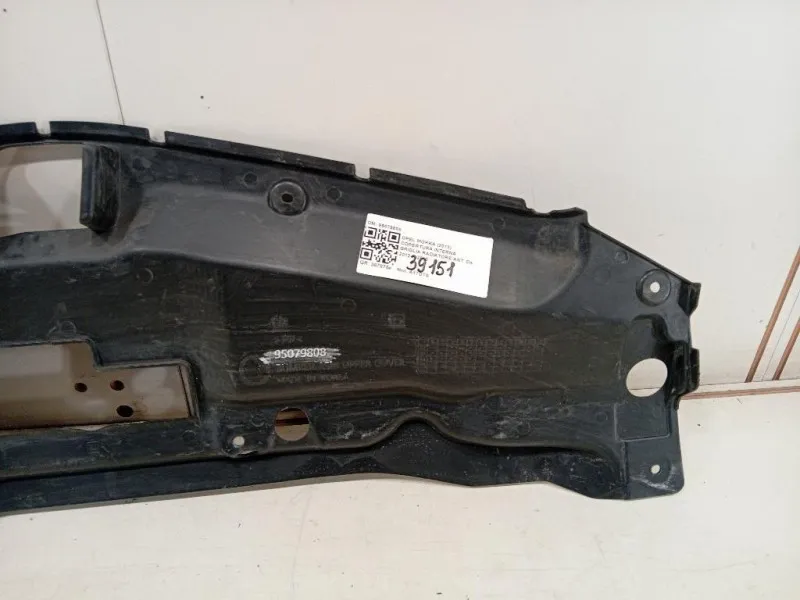 Copertura Interna Griglia Radiatore ANT 95079808 Opel Mokka 2013