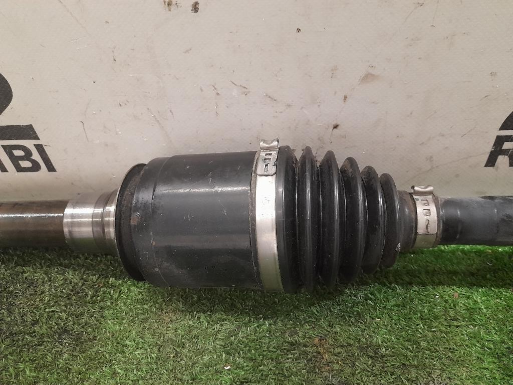 Copertura Interna Griglia Radiatore ANT 620363874R Renault Austral 2022