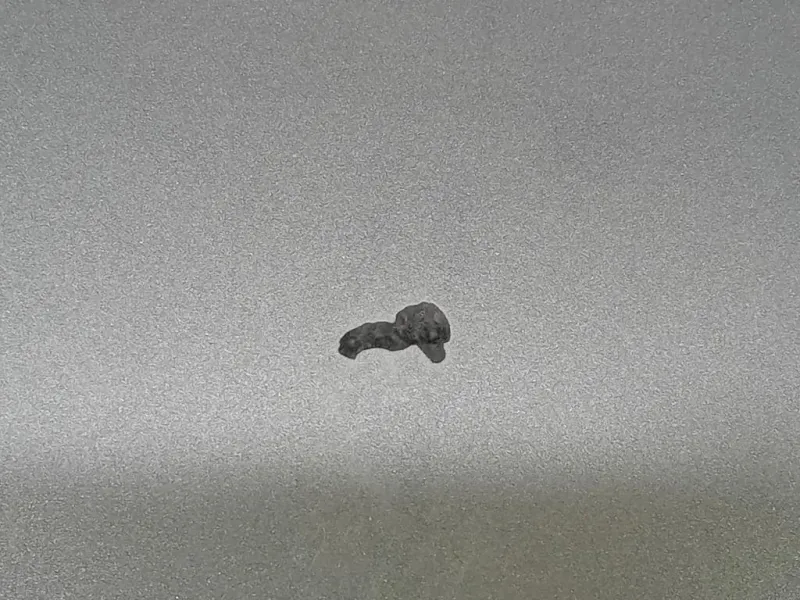 Portello POST 8U0827025 Audi Q3 8UB 2012