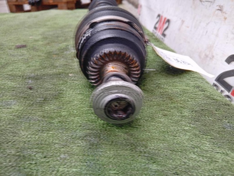 Portello POST 41628167801 Bmw Serie 5 E39 Berlina 1996