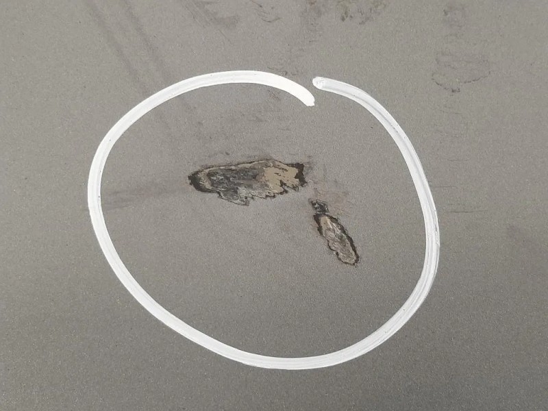 Portello POST 41627168761 Bmw Serie 5 E60 Berlina 2004