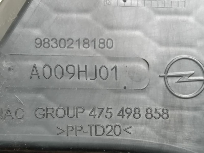 Cornice Fendinebbia DX 9830218180 Opel Corsa F 2019