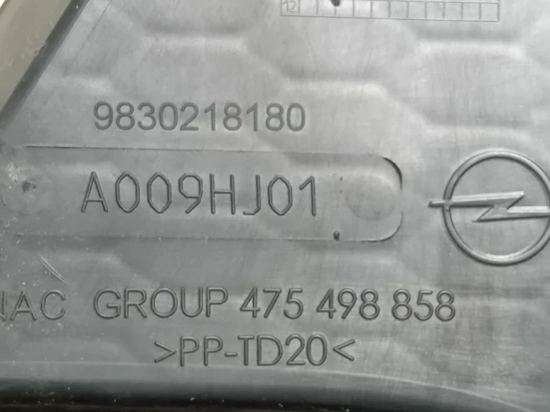 Cornice Fendinebbia DX 9830218180 Opel Corsa F 2019