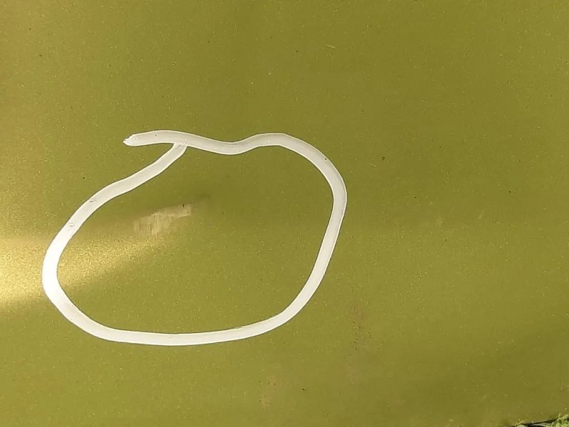 Portello POST 8701CG Citroen C3 II 2010