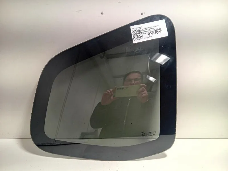 Cristallo Fisso Parafango POST DX 833061798R Dacia Duster I 2014