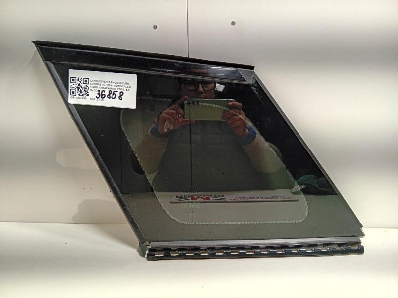 Cristallo Fisso Parafango POST SX Land Rover Range Rover Evoque I 2011