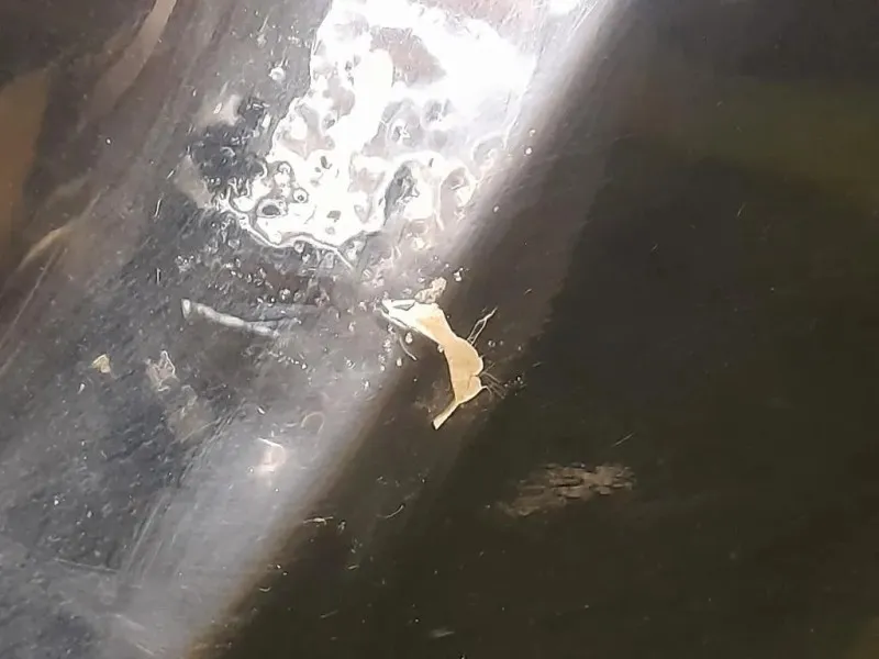 Portello POST 68100TF2E91ZZ Honda JAZZ II 2011