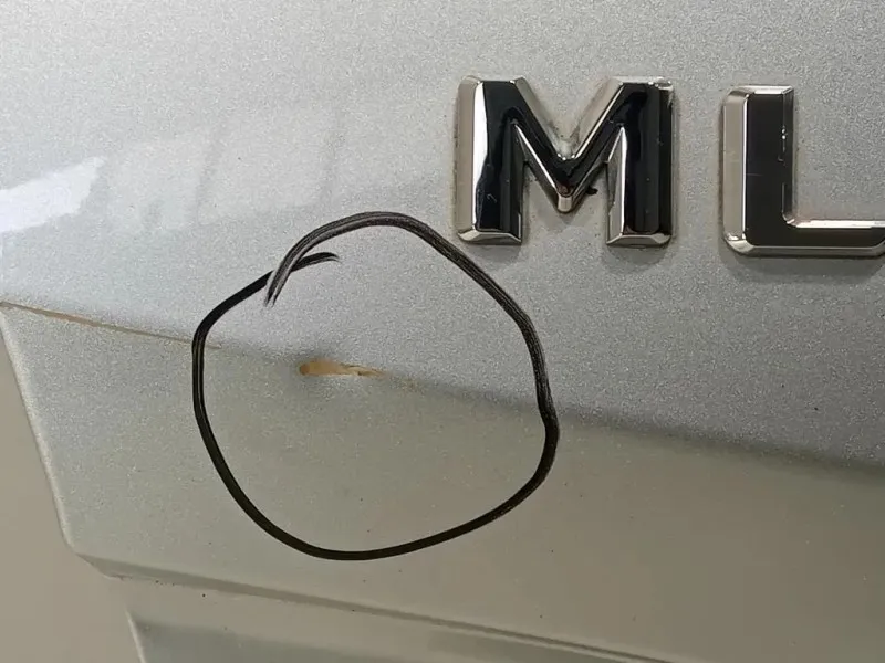 Portello POST A1667400305 Mercedes Classe ML W166 2012