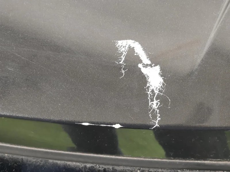 Portello POST 4817858 Opel Antara A 2011