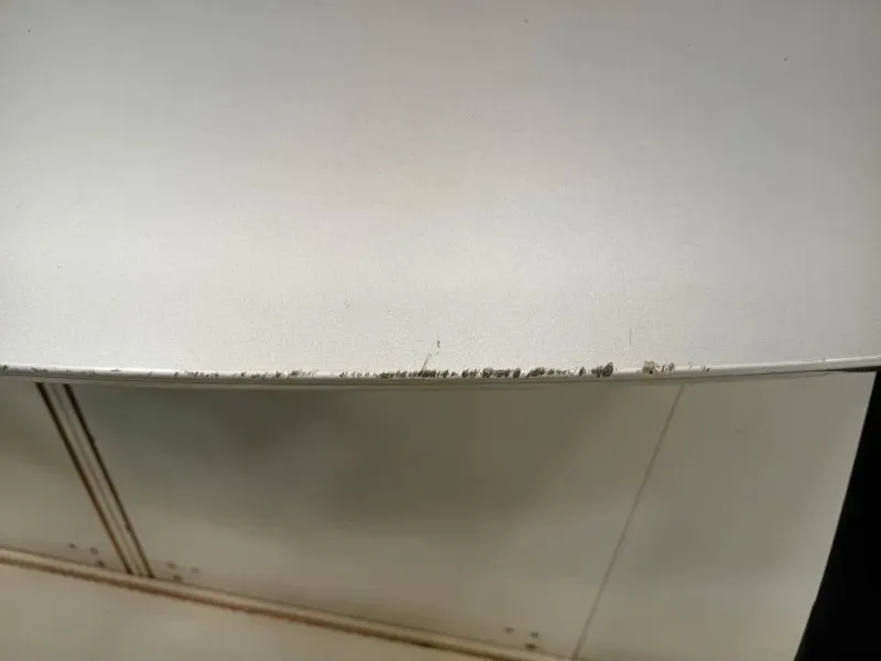 Portello POST 39047564 Opel Astra K 2016