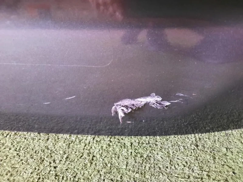 Portello POST 1637300580 Peugeot 508 II SW 2018