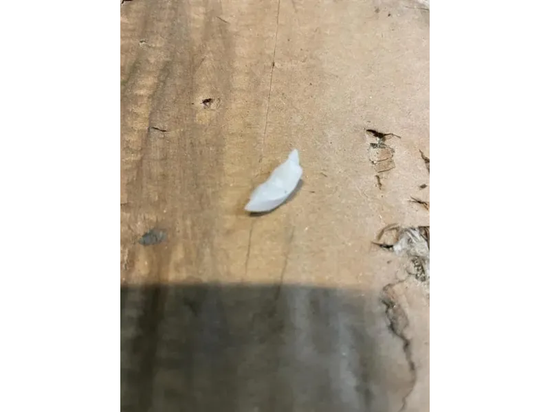 Proiettore ANT DX 8R0941044C Audi Q5 8RB 2012