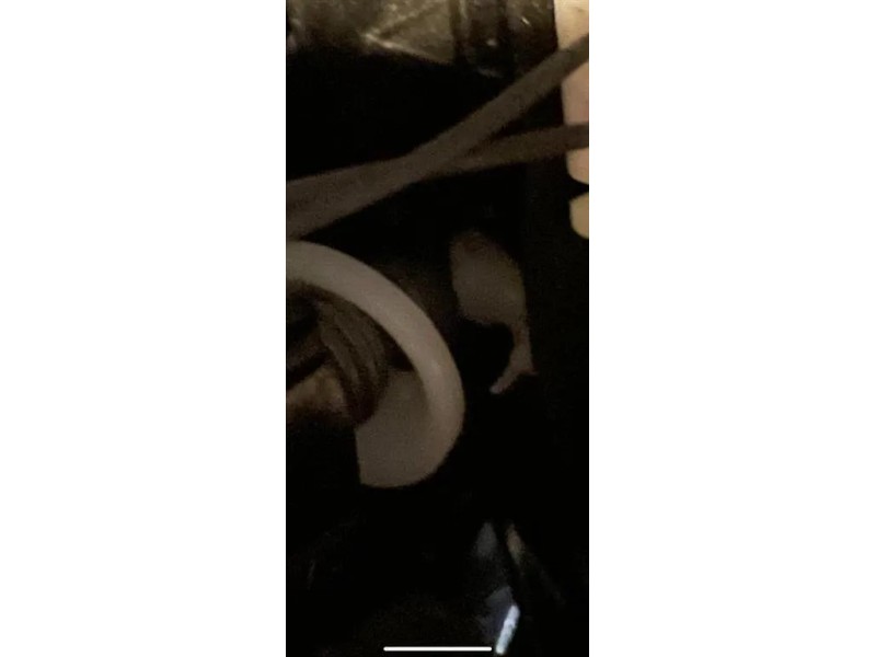 Proiettore ANT DX 8R0941044C Audi Q5 8RB 2012