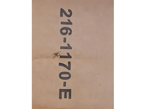 Proiettore ANT DX 216-1170 E Mazda 2 III 2014