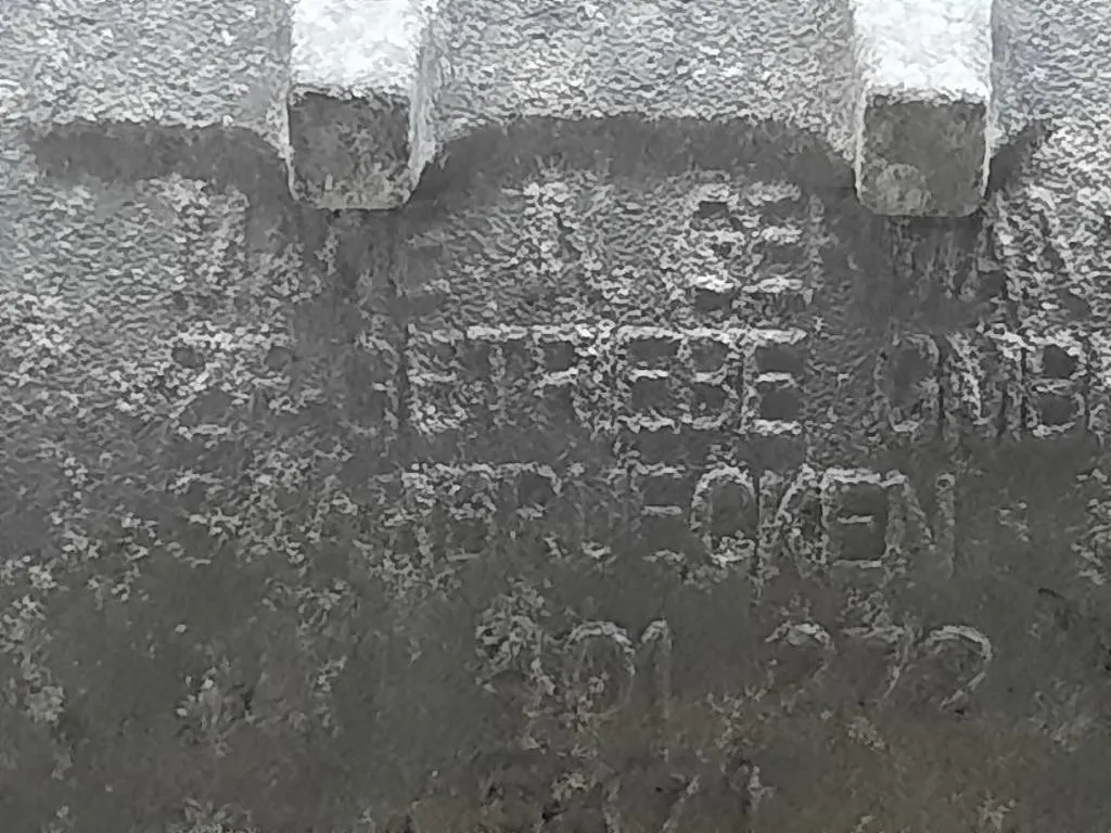 Cambio 1071301272 N47D20C 177CV 130KW Bmw X3 E83 2004